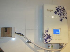 精巧衛(wèi)浴間里的暖意匠心 雕闌裝飾與大宅水電聯(lián)手打造揚(yáng)子即熱式電熱水器安裝案例
